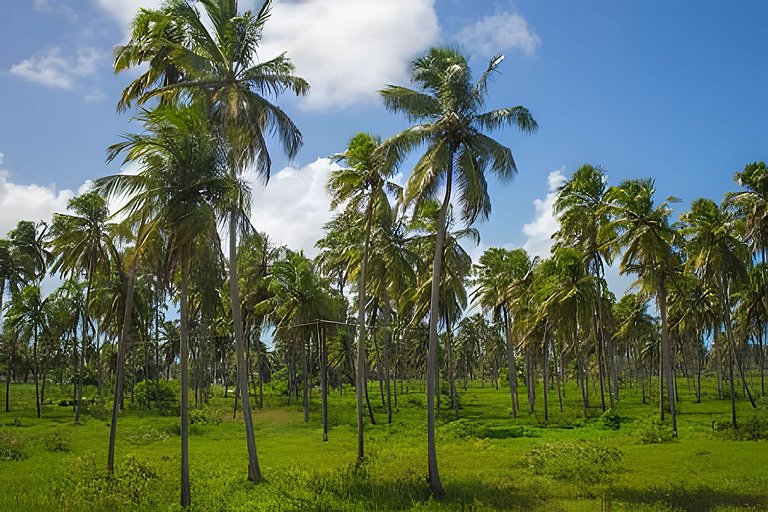Praia do Patacho, 2 Suítes com Churrasqueira