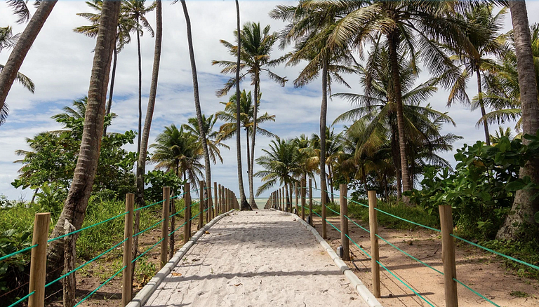 Apto de Luxo em Condo a 50m do Mar em Japaratinga